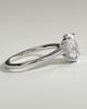 Anillo Venus