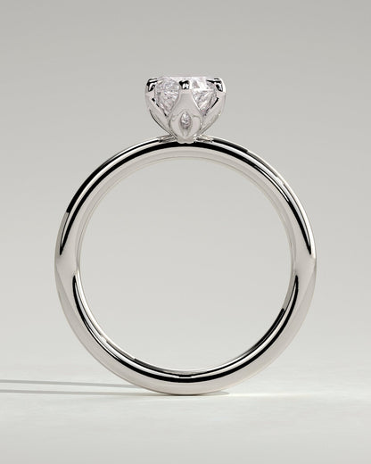 Anillo Penelope