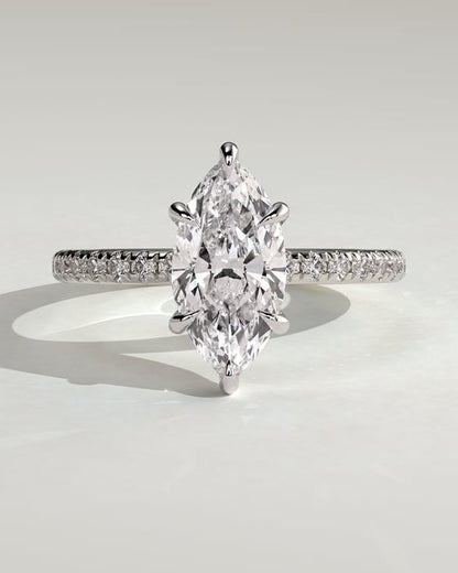 Anillo Dafne