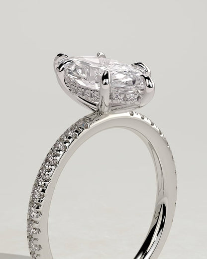 Anillo Dafne