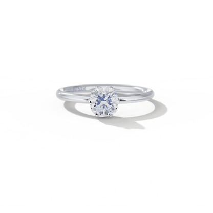 Anillo Solitario Seis Uñas - bodhana
