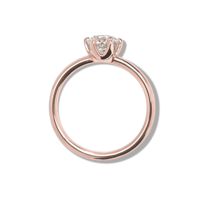 Anillo Solitario Seis Uñas - bodhana