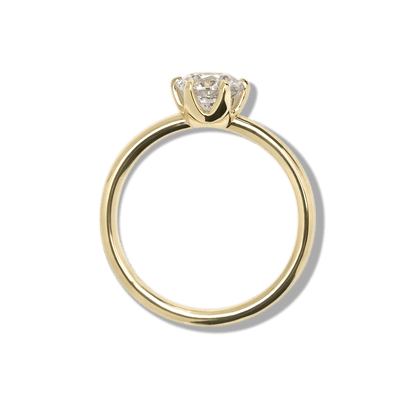 Anillo Solitario Seis Uñas - bodhana