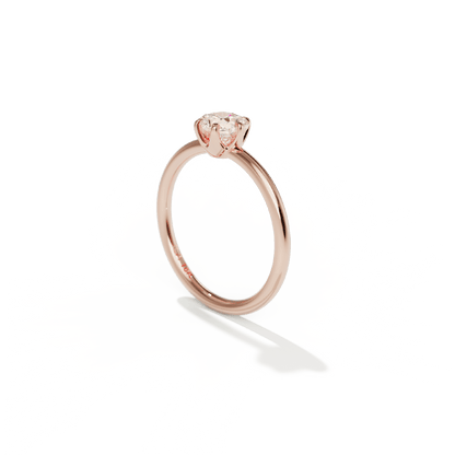 Anillo Solitario Seis Uñas - bodhana