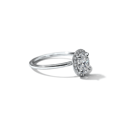 Montura Halo Solitario (no incluye diamante central) - BODHANA