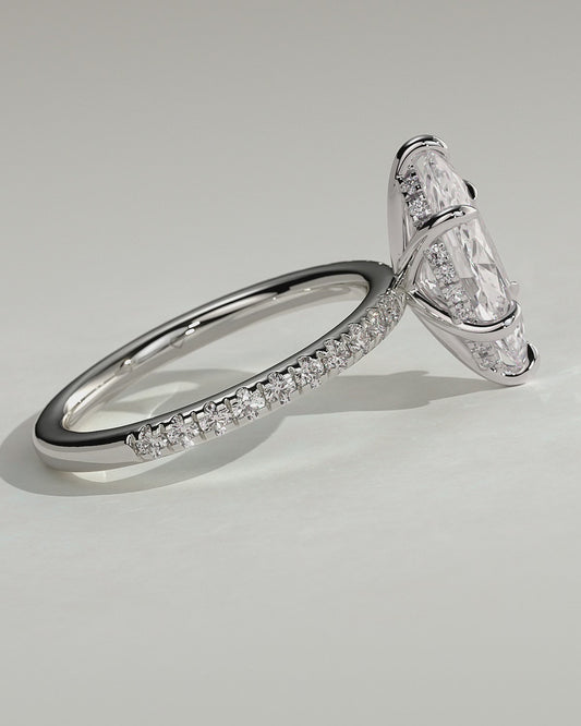 Anillo Dafne