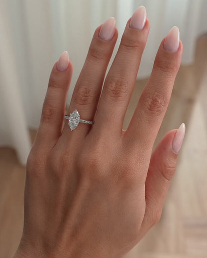 Anillo Dafne